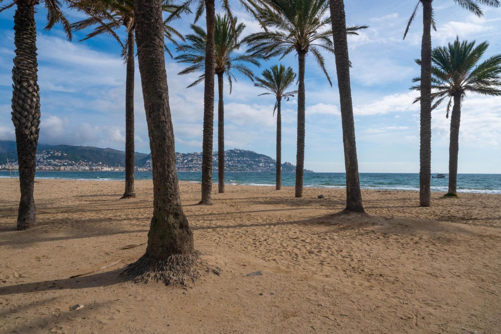 Welhomy Magnifique Appartement Santa Margarida Roses Estany Eksteriør bilde